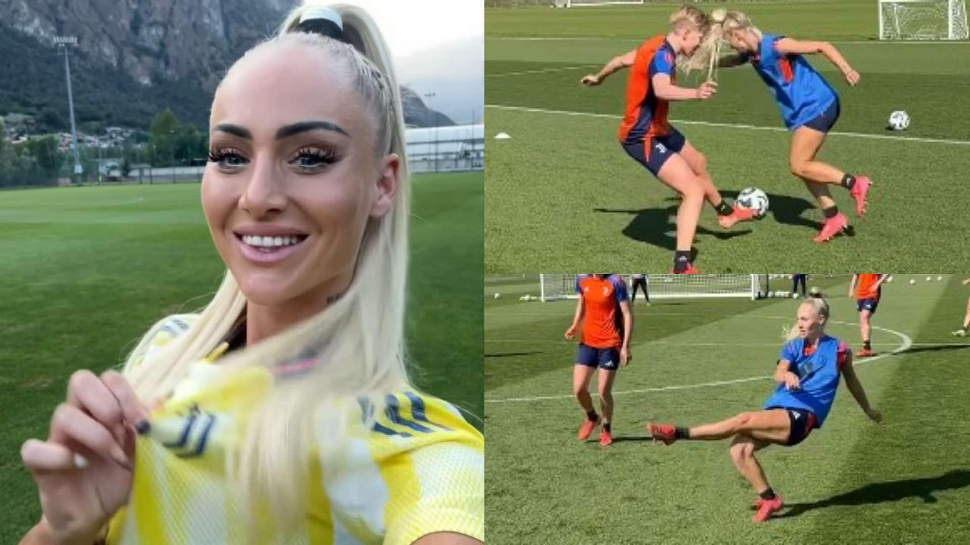 的巨大潛力 的巨大潛力