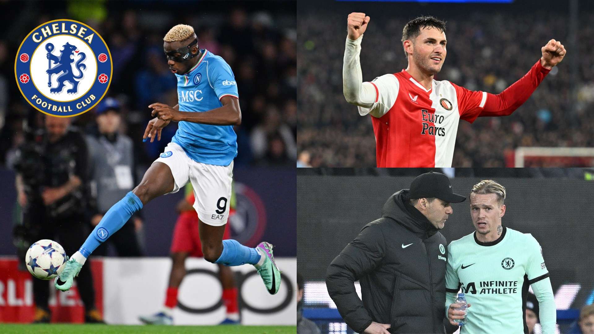 哈兰德都能 哈兰德都能